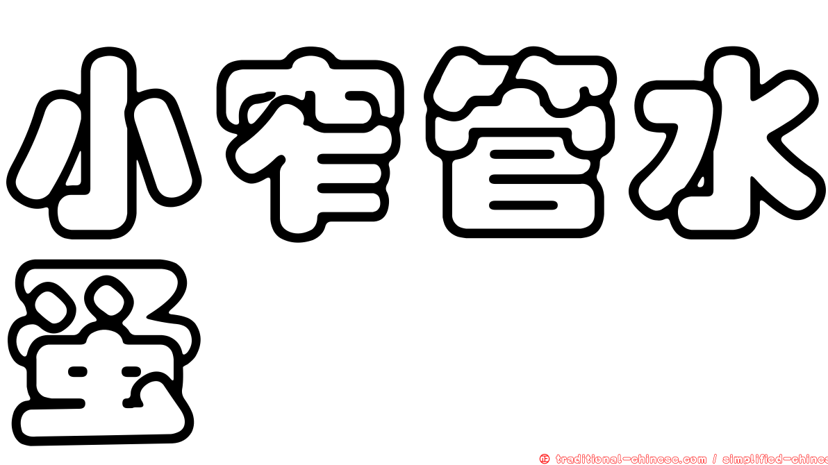 小窄管水蚤