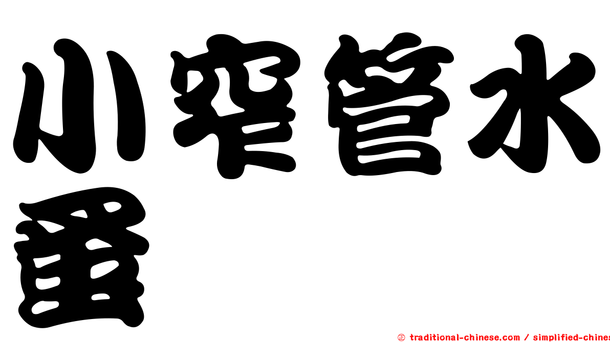 小窄管水蚤