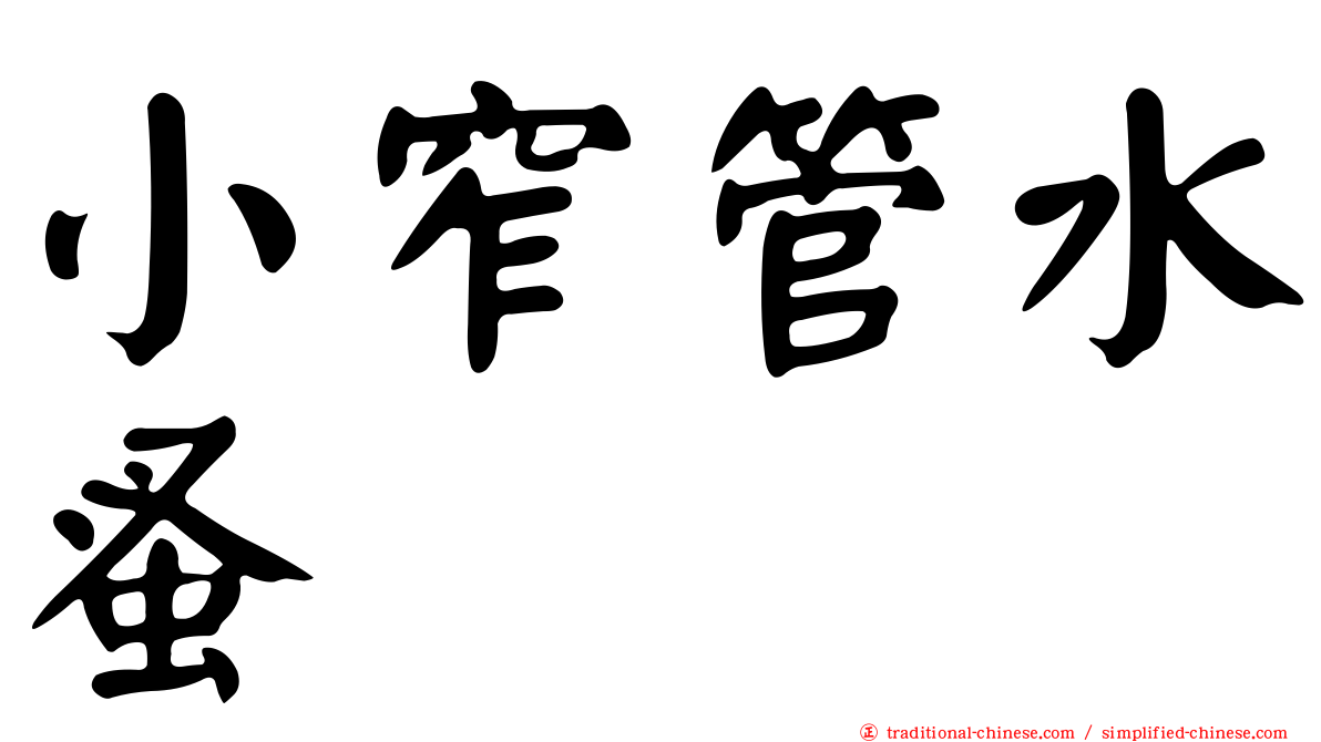 小窄管水蚤