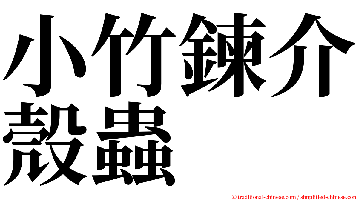 小竹鍊介殼蟲 serif font