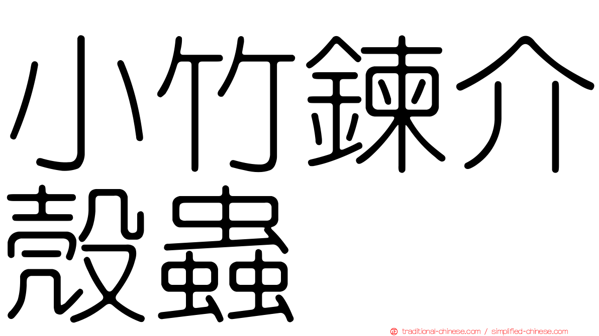 小竹鍊介殼蟲