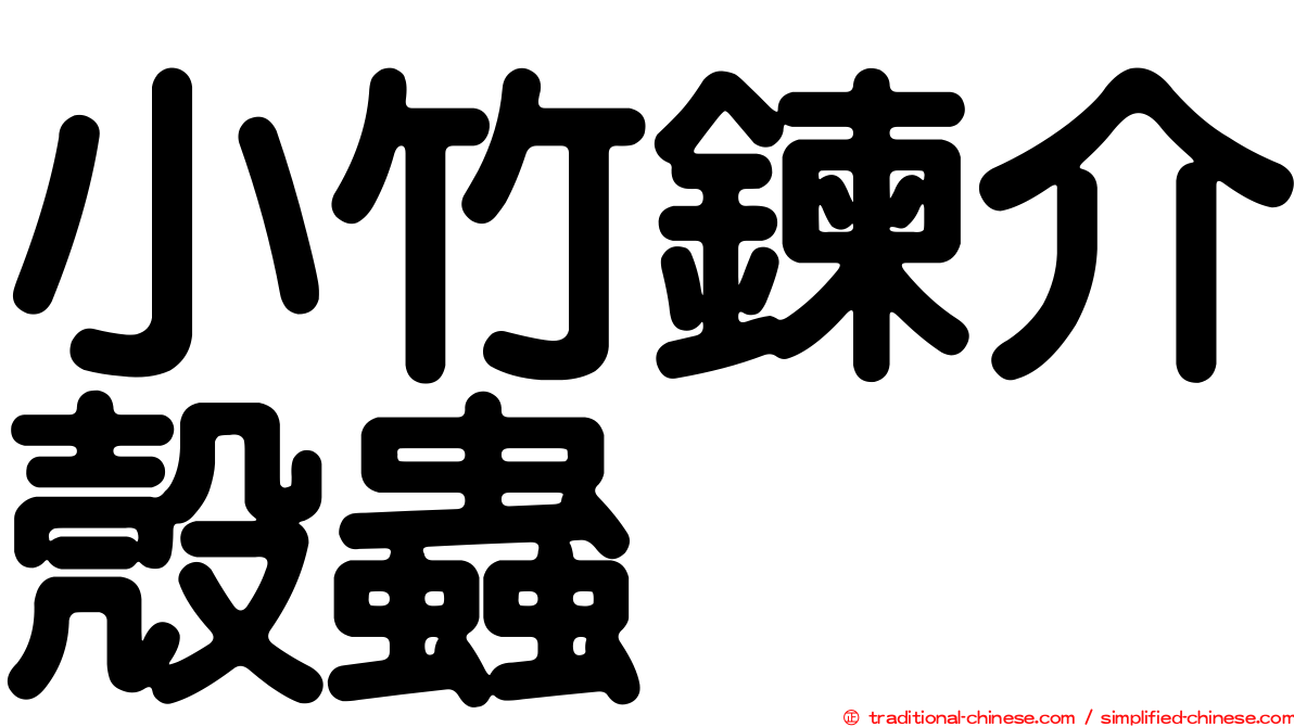 小竹鍊介殼蟲