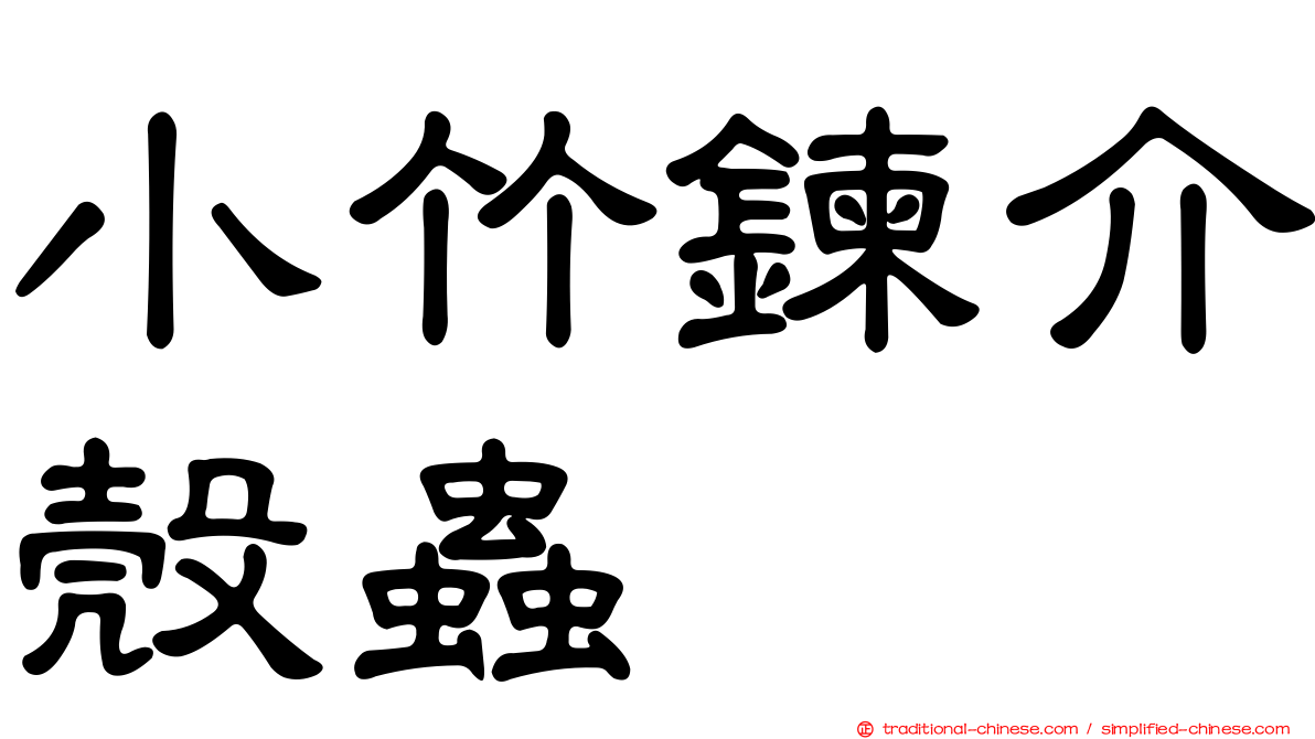 小竹鍊介殼蟲