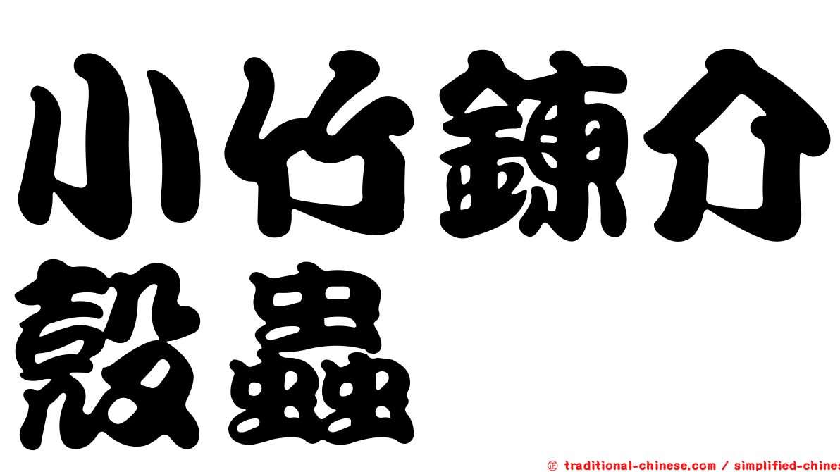 小竹鍊介殼蟲