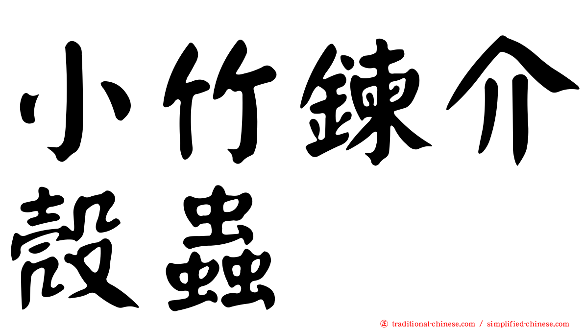 小竹鍊介殼蟲