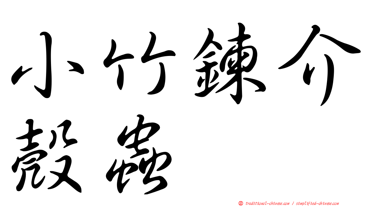 小竹鍊介殼蟲
