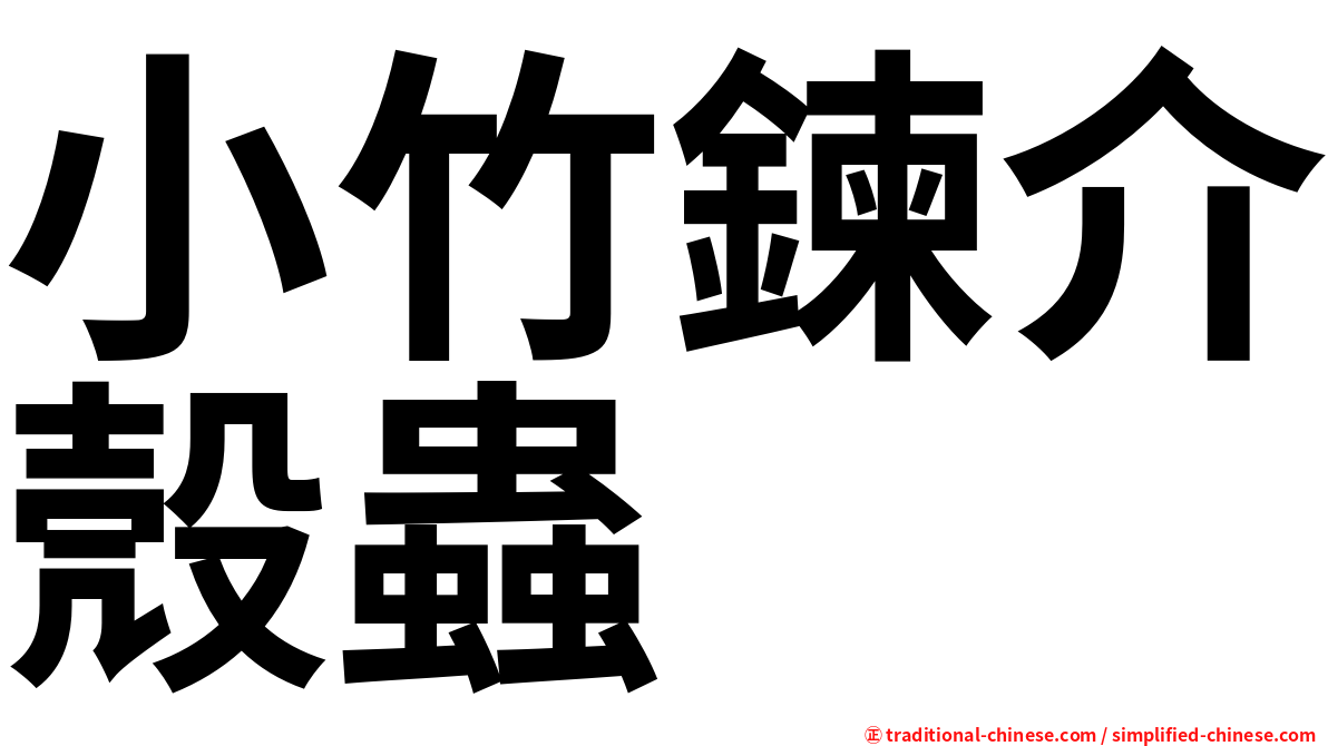 小竹鍊介殼蟲