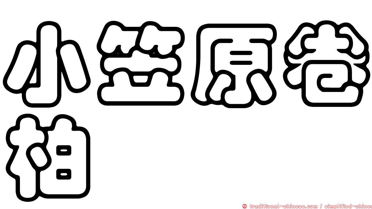 小笠原卷柏