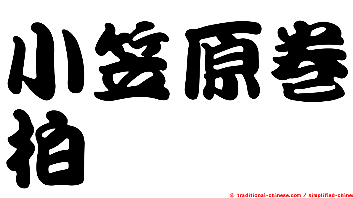 小笠原卷柏