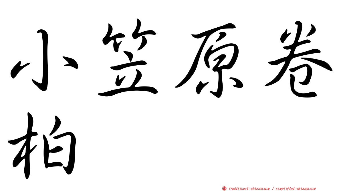 小笠原卷柏