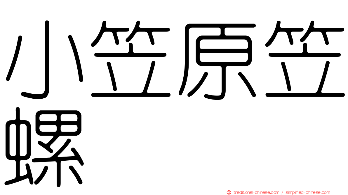 小笠原笠螺