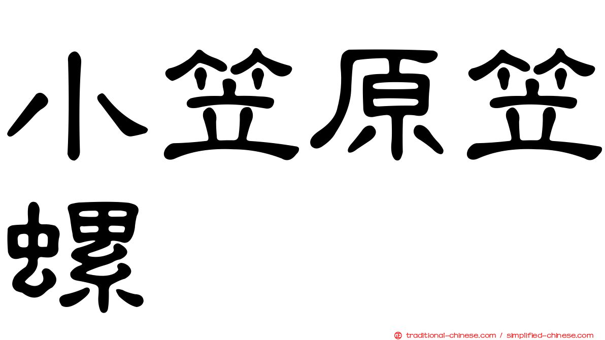 小笠原笠螺
