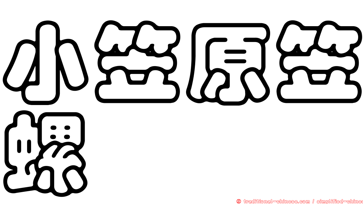 小笠原笠螺