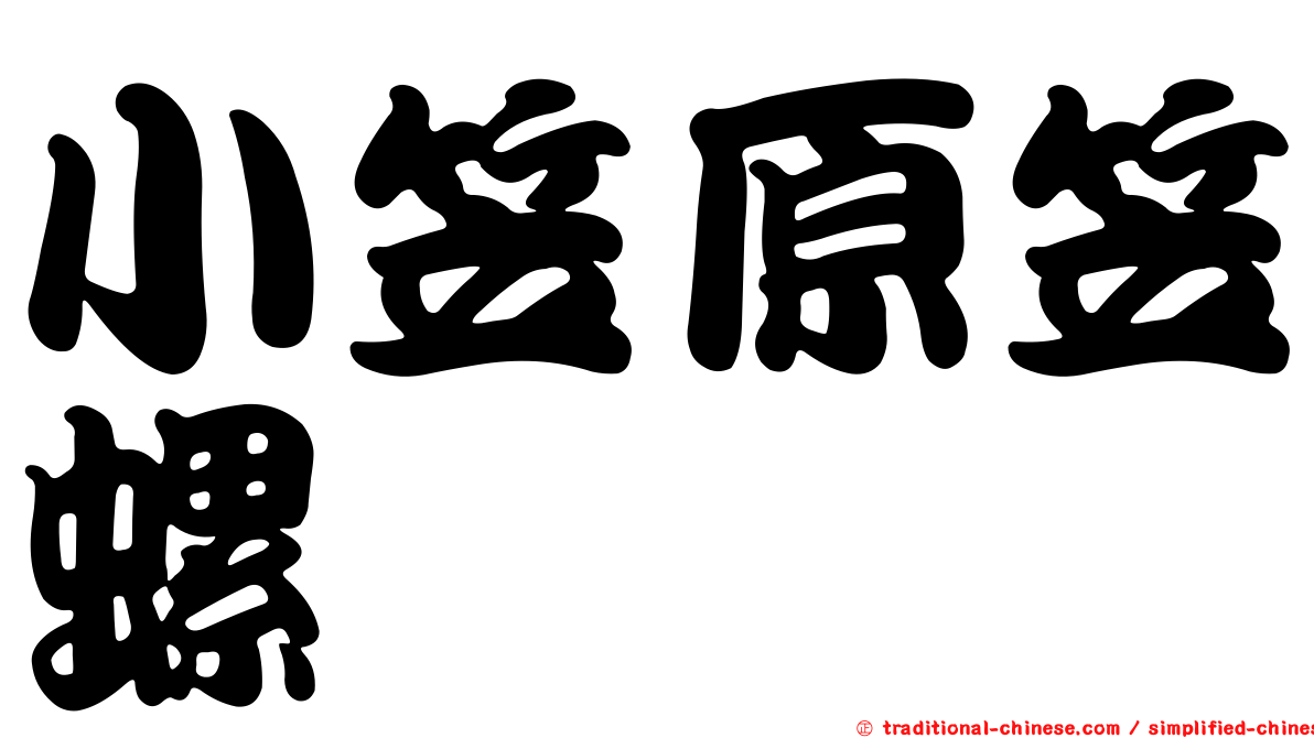小笠原笠螺