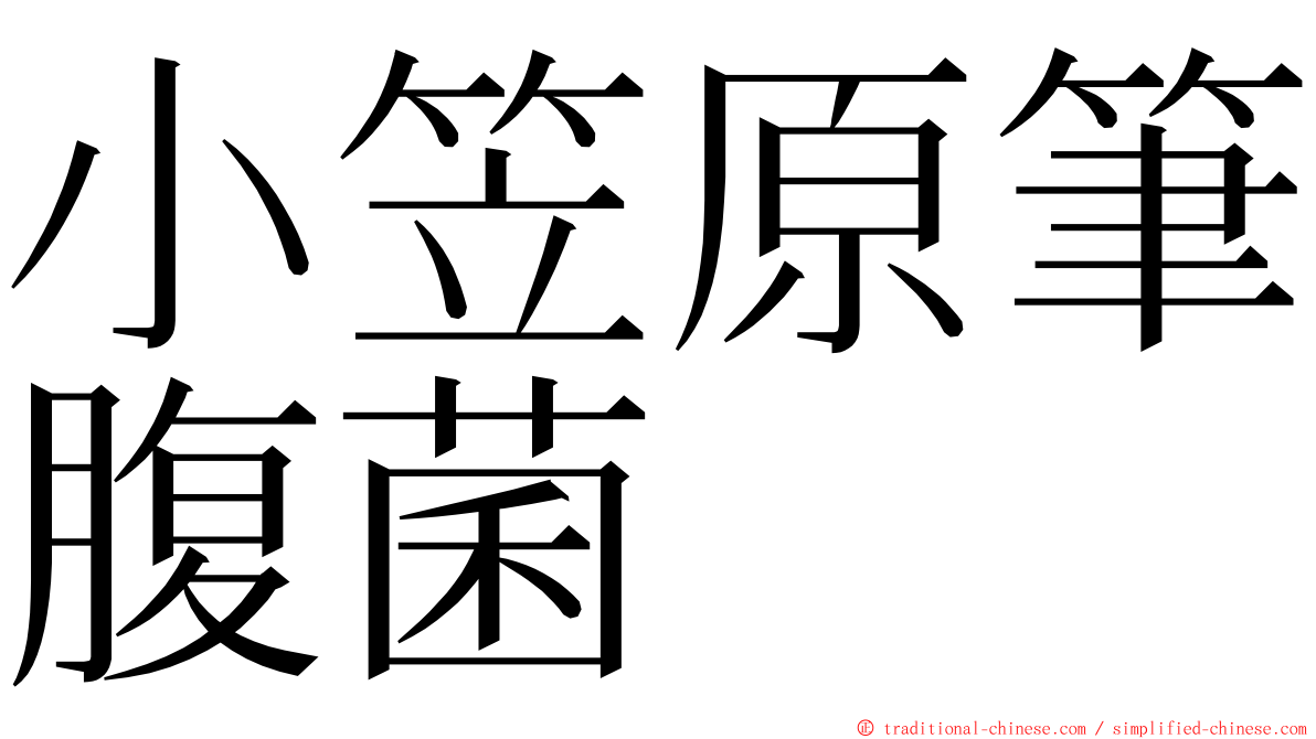 小笠原筆腹菌 ming font