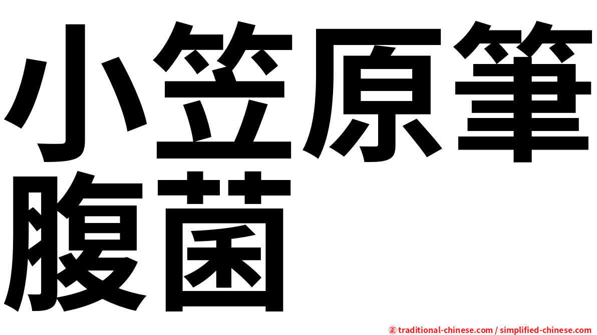 小笠原筆腹菌