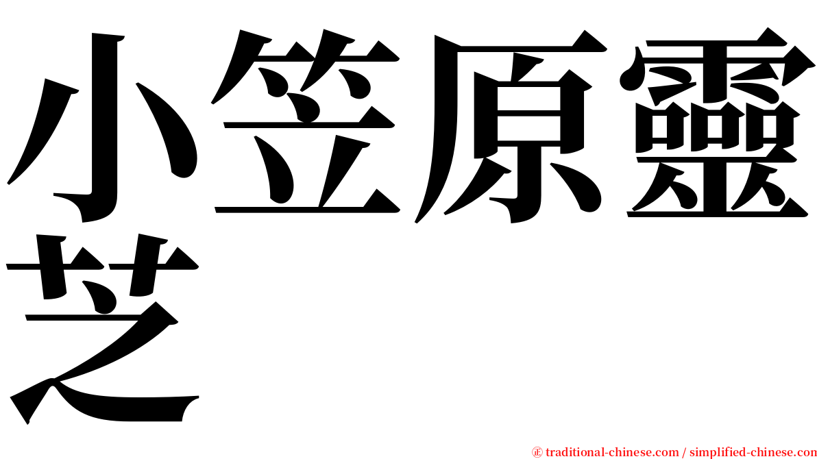 小笠原靈芝 serif font