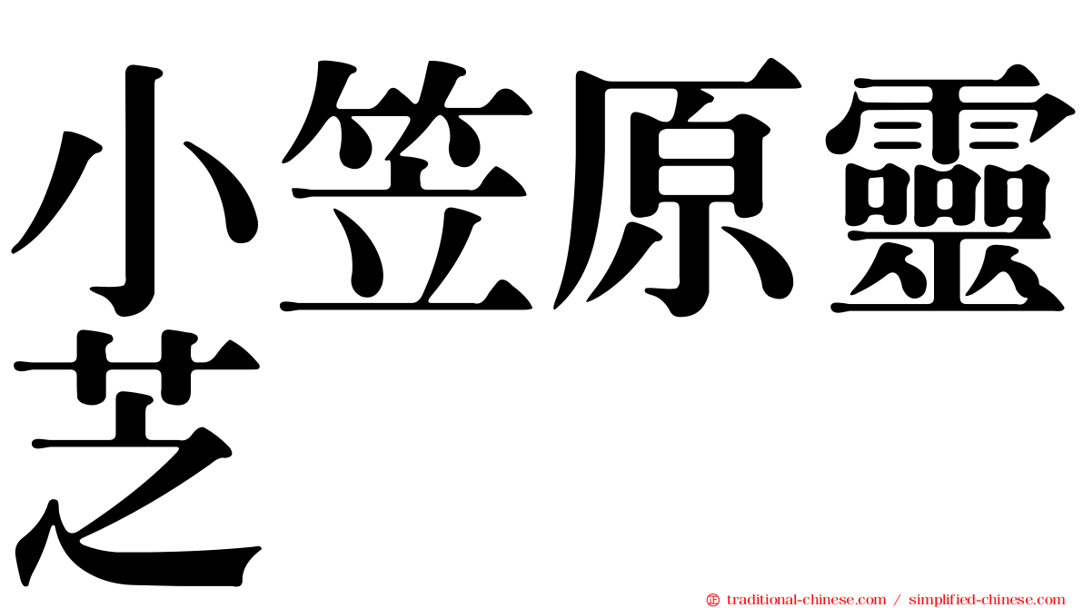 小笠原靈芝