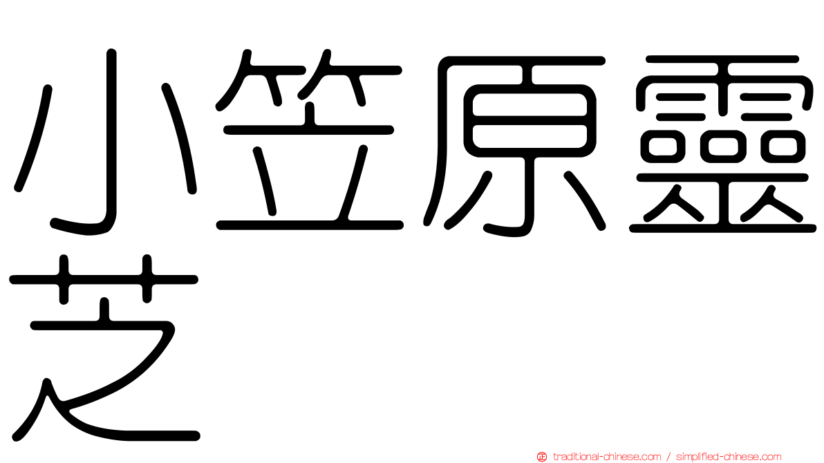 小笠原靈芝