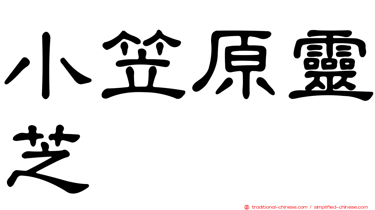 小笠原靈芝