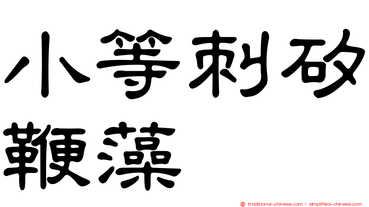 小等刺矽鞭藻