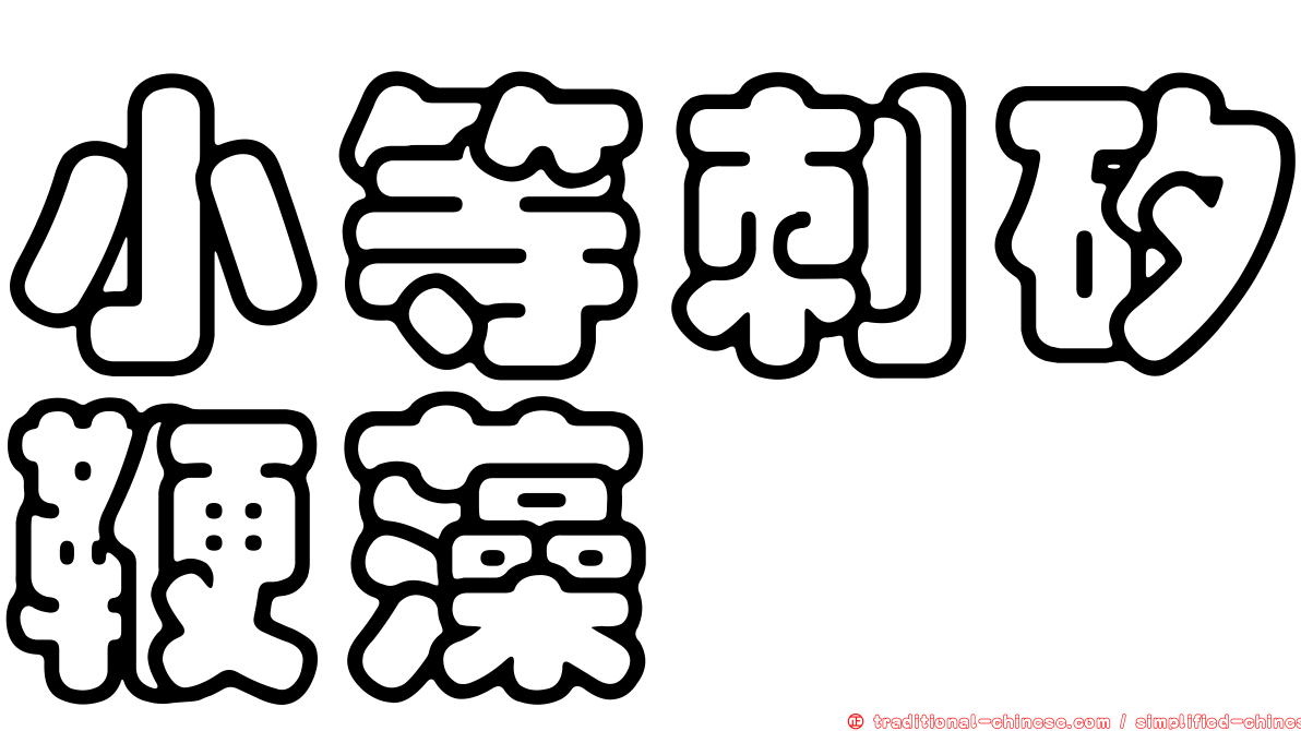 小等刺矽鞭藻