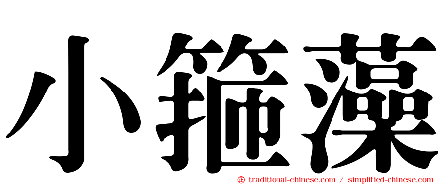 小箍藻