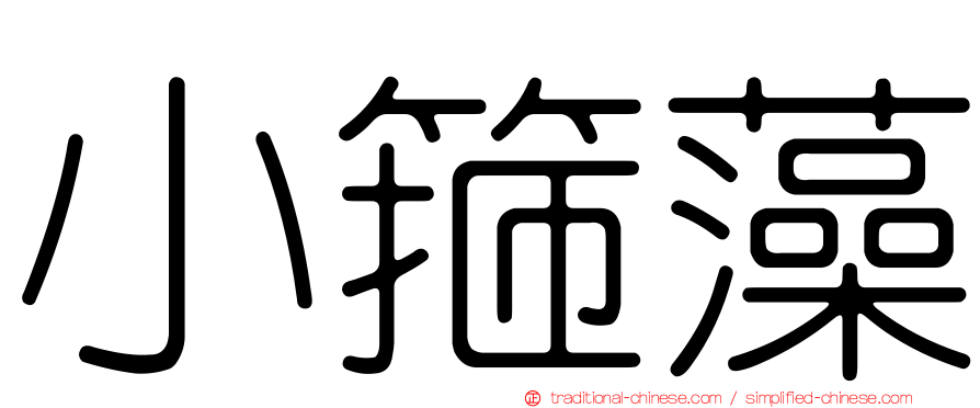 小箍藻