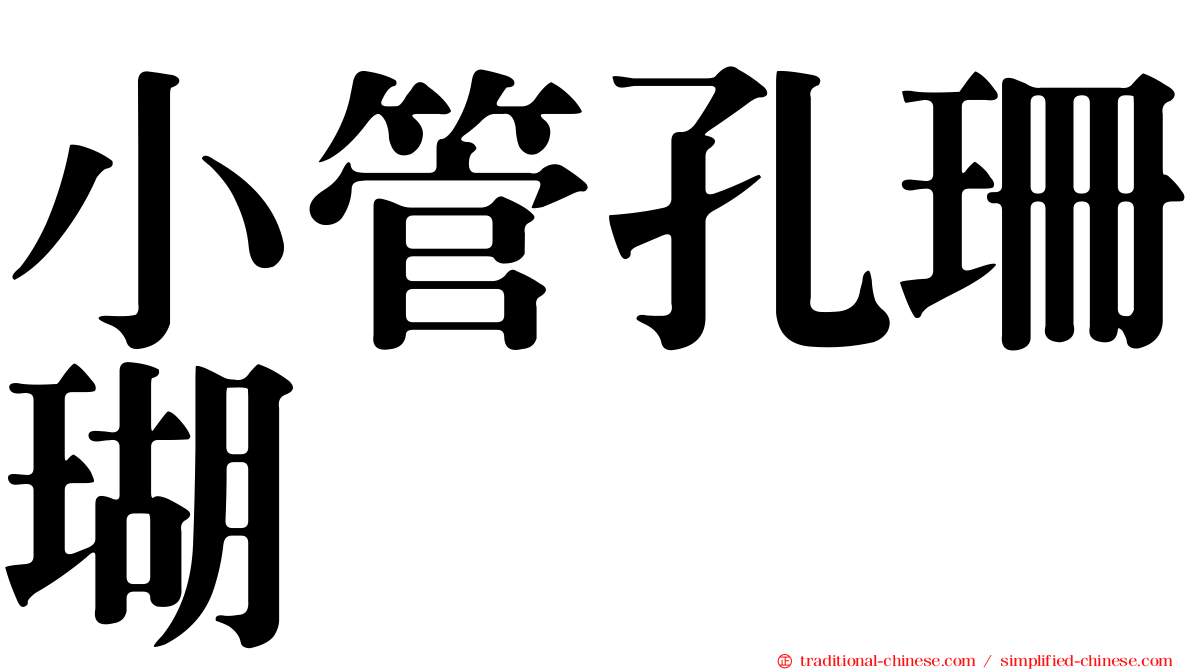 小管孔珊瑚