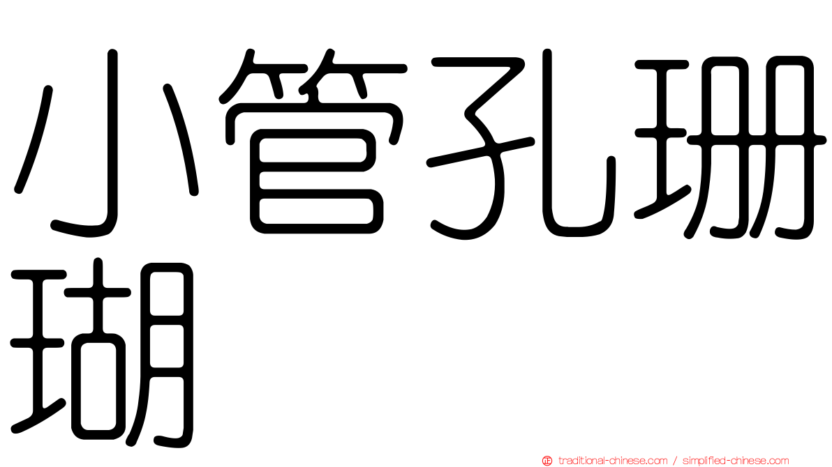 小管孔珊瑚