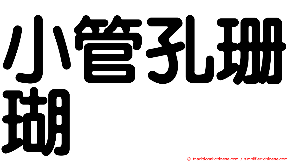 小管孔珊瑚