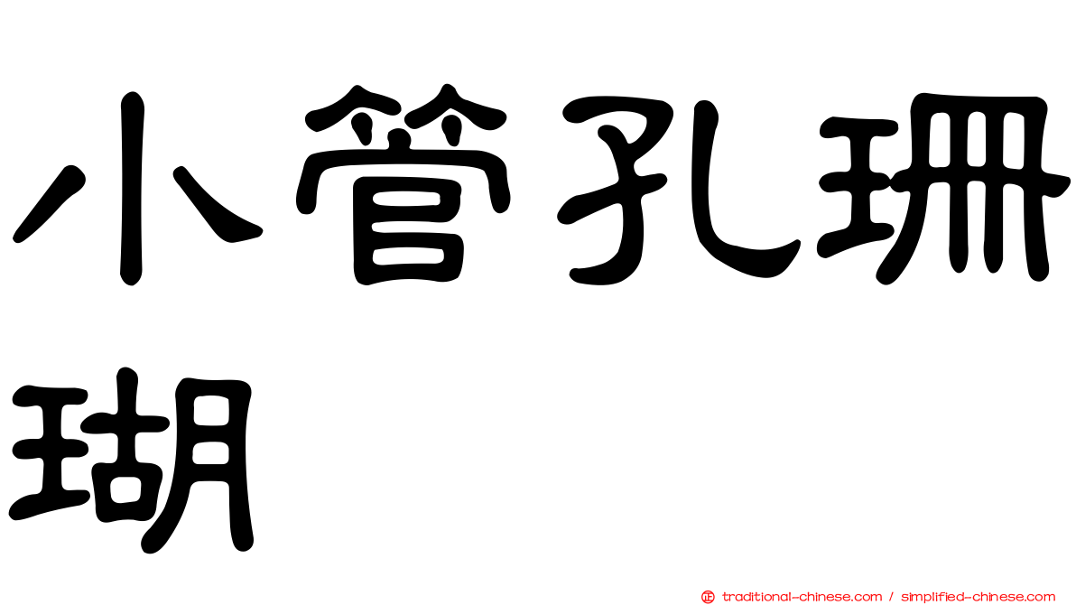 小管孔珊瑚