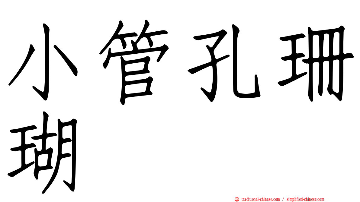 小管孔珊瑚