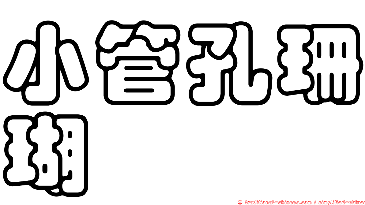 小管孔珊瑚