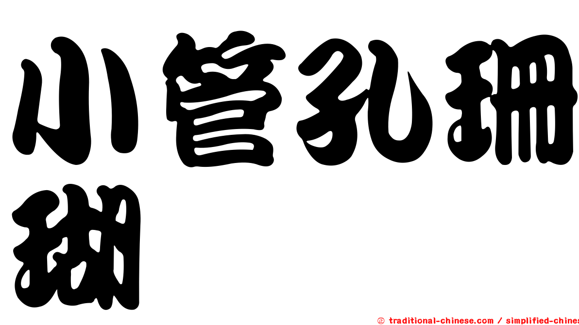 小管孔珊瑚