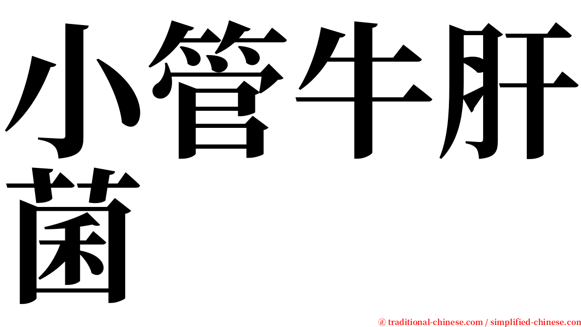 小管牛肝菌 serif font