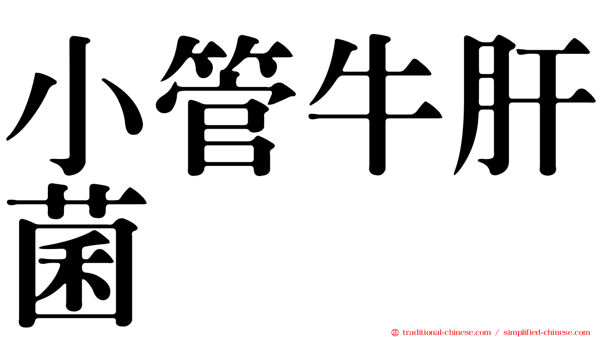 小管牛肝菌