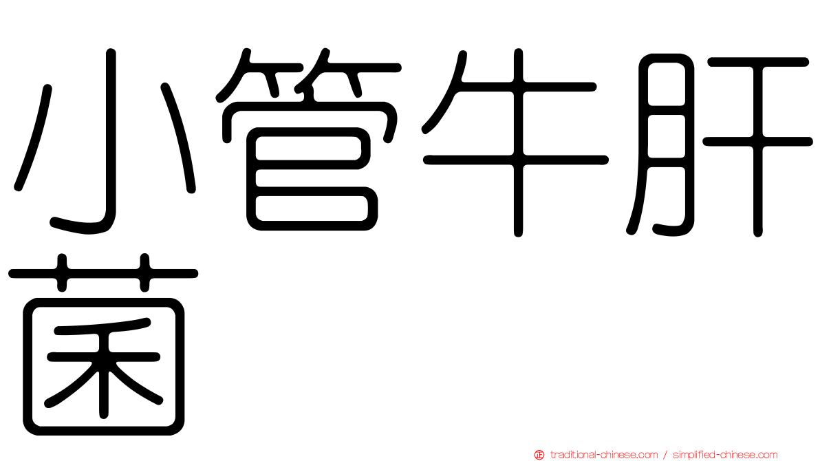 小管牛肝菌