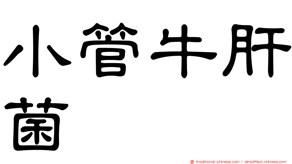 小管牛肝菌