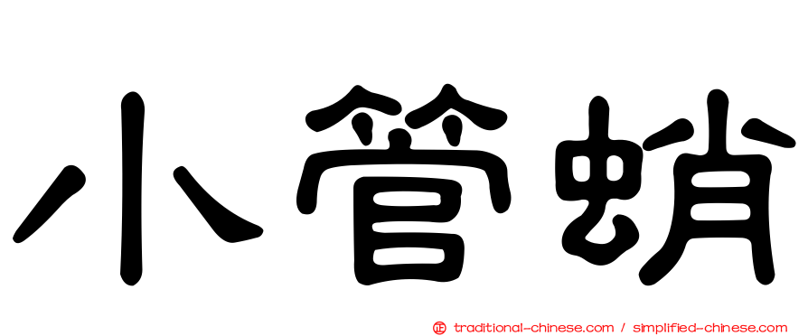 小管蛸