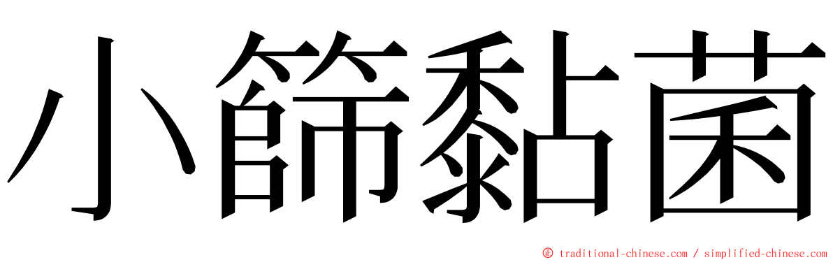 小篩黏菌 ming font