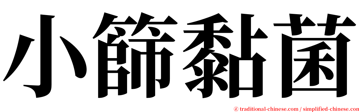 小篩黏菌 serif font