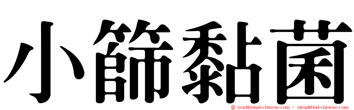 小篩黏菌