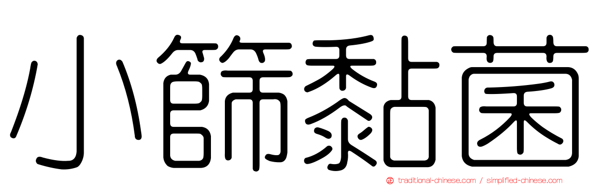 小篩黏菌