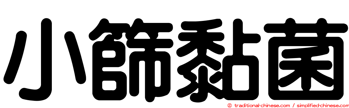 小篩黏菌