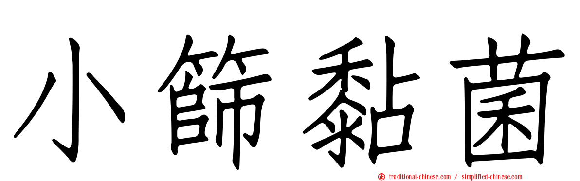 小篩黏菌