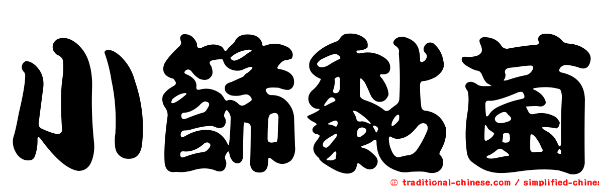 小篩黏菌