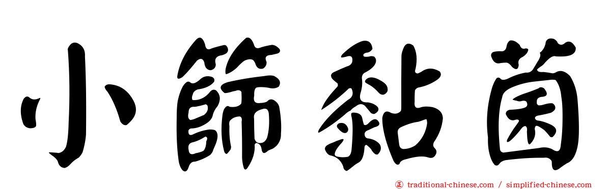 小篩黏菌