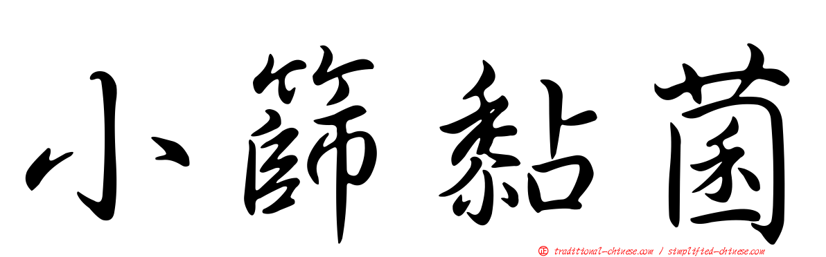 小篩黏菌