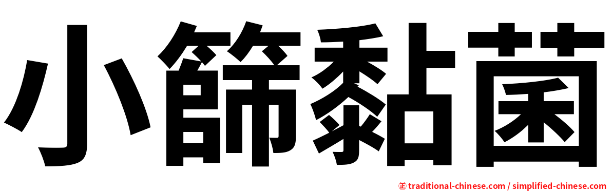 小篩黏菌
